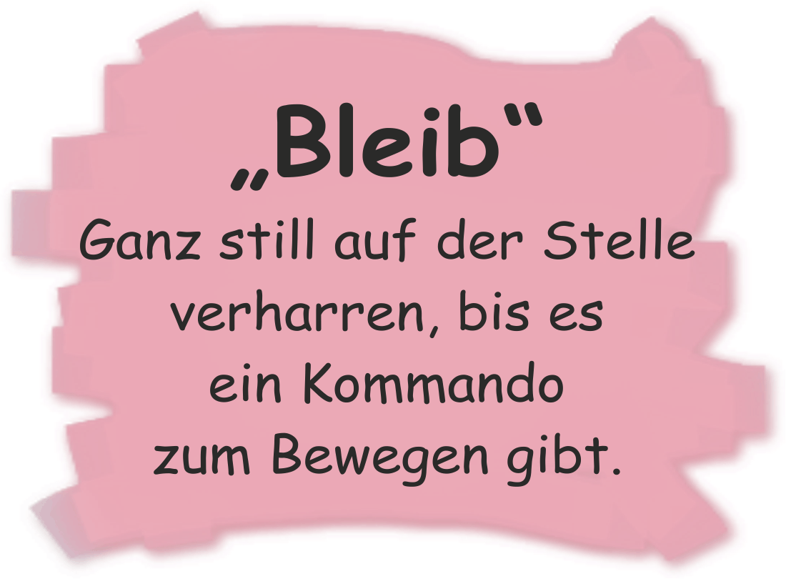 Ganz still auf der Stelle verharren, bis es ein Kommando zum Bewegen gibt