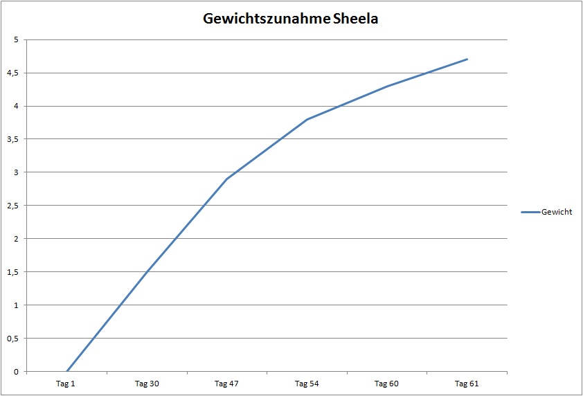 Gewichtszunahme Sheela in der Schwangerschaft_neu und gross