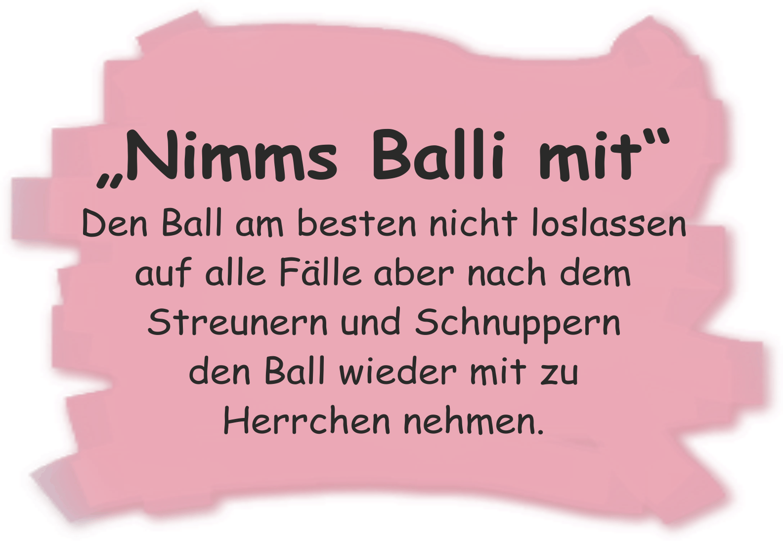 Nimms Balli mit. Den Ball am Besten nicht loslassen. Auf alle Flle aber nach dem Streunern und Schnuppern den Ball wieder mit zu Herrchen nehmen.