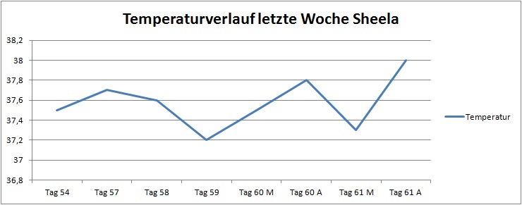 Temperaturverlauf Schwangerschaft Sheela