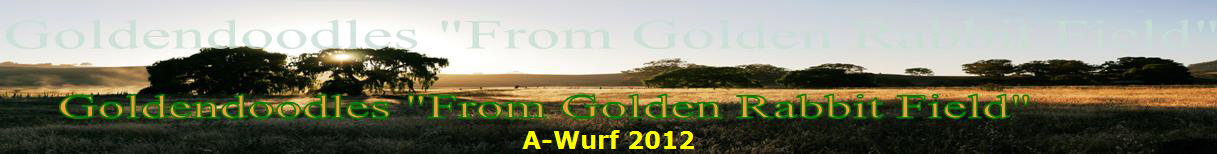 A-Wurf 2012