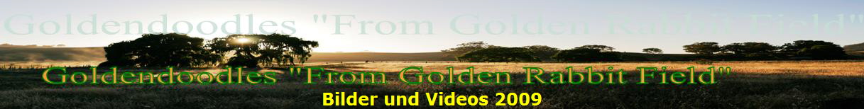 Bilder und Videos 2009