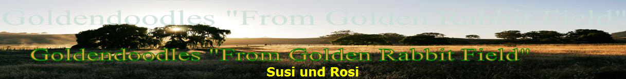 Susi und Rosi