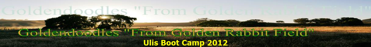 Ulis Boot Camp 2012