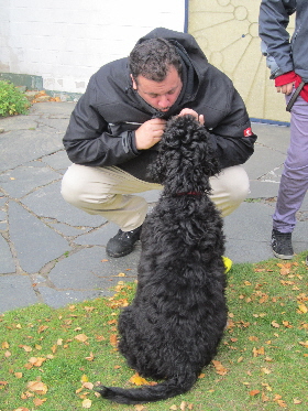 Michael begrt Goldendoodle Anton