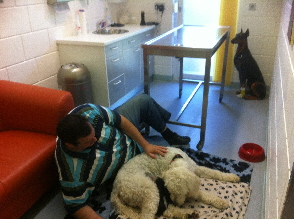 Beim Tierarzt Cheffe hilft Sheela