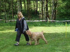 Oskar folgt mit Kohlabi