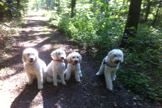 Familienbild-mit-Amor