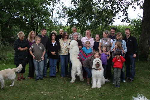 Goldendoodle Doodletreffen