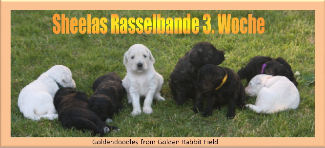 Gruppenbild schmal Woche 3 mit Text Rasselbande