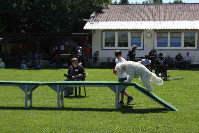 Der Steg Treffen 2011