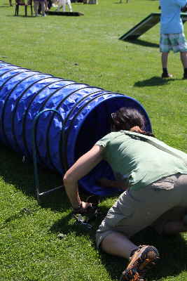 Hunde laufen durch ein Tunnell