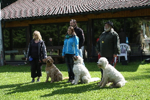 Alle blicken zum Trainer