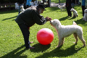 Madlock bt Treibball