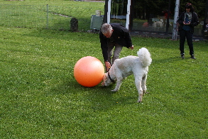 Rusty sucht das LEckerchen 