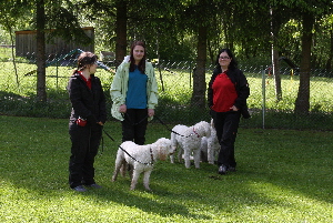 Tina Lea und Daniela warten im Schatten mit Sheela, Janosch und Annie