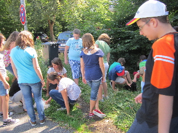 Schulklasse besucht Sheelas Welpen