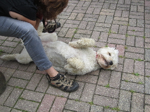 Luca ist kaputt