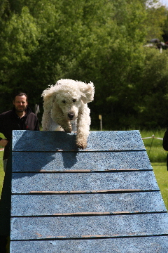 Annie mit Anlauf