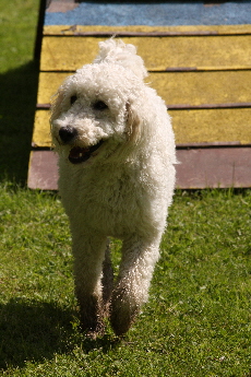 Annie, Sheelas Tochter