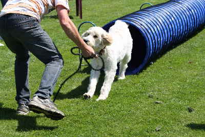 Tunnell auf dem Doodletreffen 2011