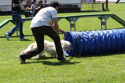 Tunnell auf dem Doodletreffen 2011