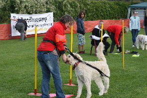 flossenwanderung