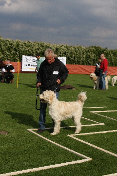 Konzentriert geht Rusty