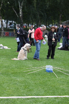 Betratung vor dem Durchlauf