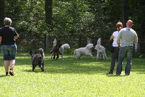 Besucher beim 4. roen Doodletreffen