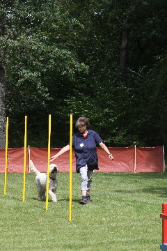 Gemeinsam am Slalom