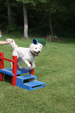 Schnell dieTreppe runter