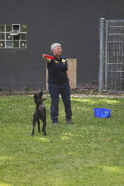 Andrea fhrt Dogfrisbee vor