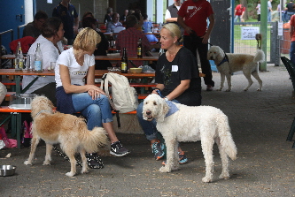 Vor der Halle