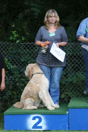 Doodletreffen Goldendoodle Sieger