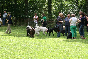 Gesprache auf der Spile und Flitzewiese