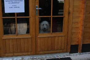 Sheela in der Htte