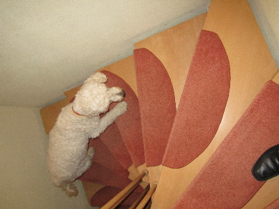 Sheela steigt die Treppen hoch