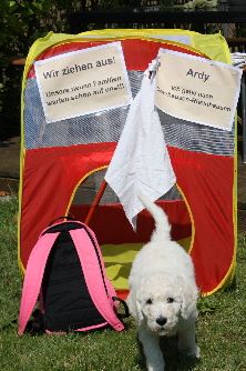 Wochenbild 8-Auszug-Ardy1